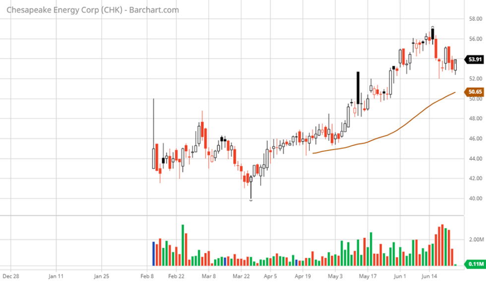 chk investor relations