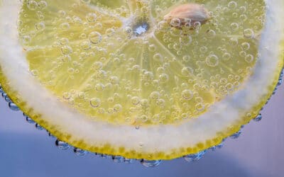 Lemonade is leaving a sour taste with investors