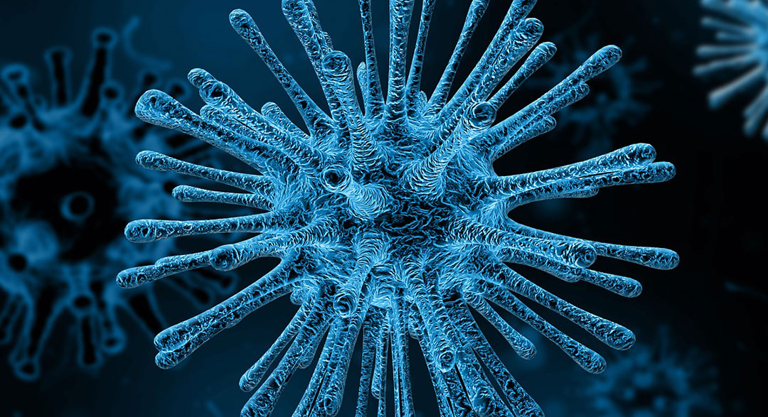 Photo of a virus